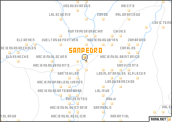 map of San Pedro