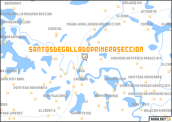 map of Santos Degallado Primera Sección