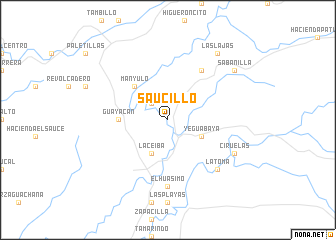 map of Saucillo