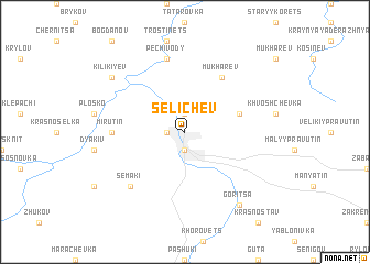 map of Selichev