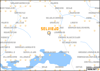 map of Selviejo