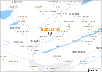 map of Sokolʼniki