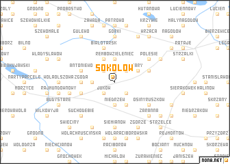 map of Sokołów