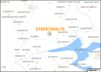 map of Staraya Salyn\