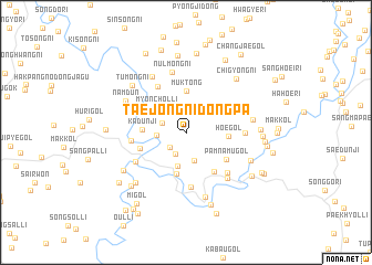 map of Taejŏngnidongp\