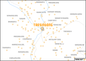 map of Taesin-dong