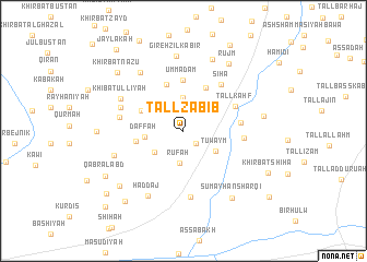 map of Tall Zabīb