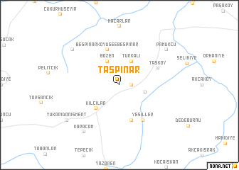 map of Taşpınar