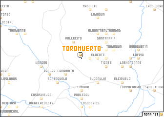 map of Toro Muerto