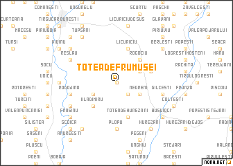 map of Totea de Frumuşei