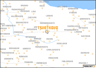 map of Tsvetkovo