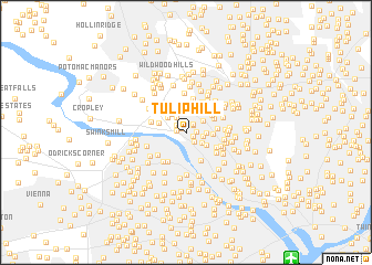 map of Tulip Hill