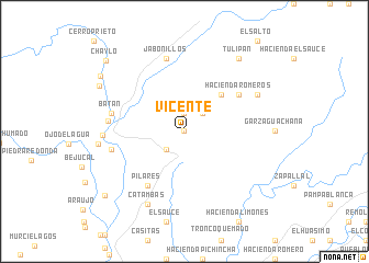 map of Vicente