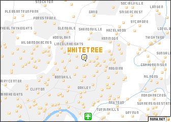 map of Whitetree
