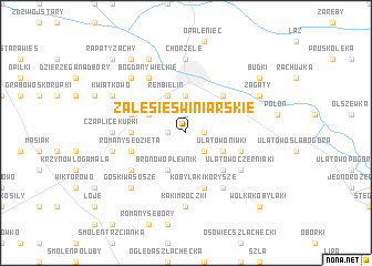 map of Zalesie Świniarskie