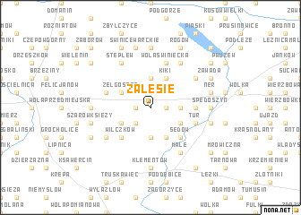 map of Zalesie