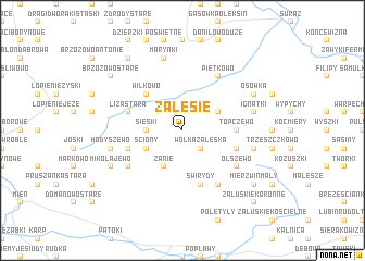 map of Zalesie