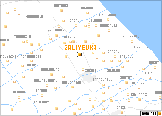 map of Zaliyevka