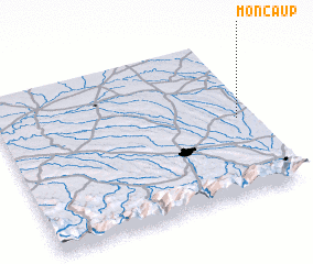 3d view of Moncaup