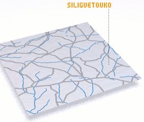 3d view of Siliguétouko