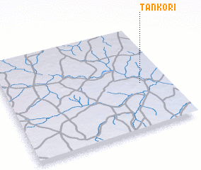 3d view of Tankori