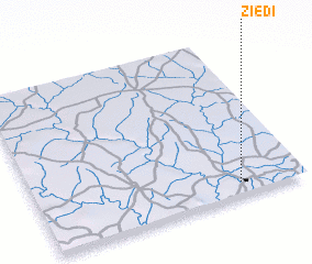 3d view of Ziedi