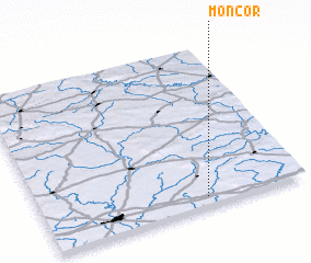 3d view of Moncor