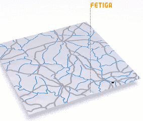 3d view of Fetiga