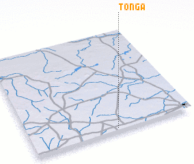 3d view of Tonga