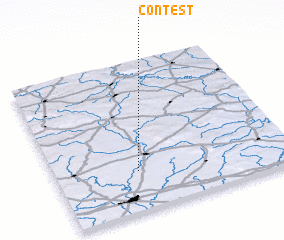 3d view of Contest