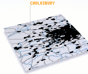 3d view of Cholesbury