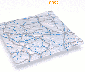 3d view of Cosa