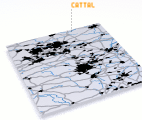 3d view of Cattal