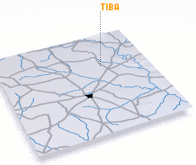 3d view of Tiba