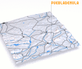 3d view of Puebla de Mula