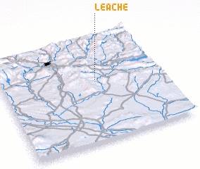 3d view of Leache