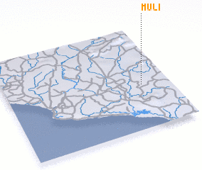 3d view of Muli