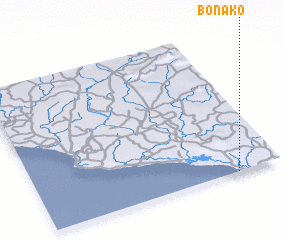 3d view of Bonako