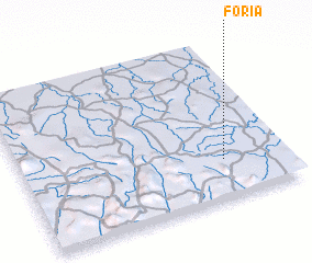 3d view of Foria