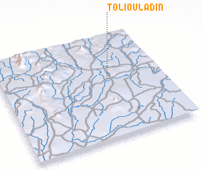 3d view of Toli Ouladin