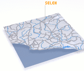 3d view of Seleh