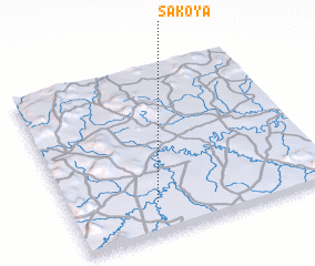 3d view of Sakoya