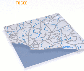 3d view of Togee