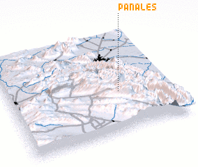 3d view of Panales