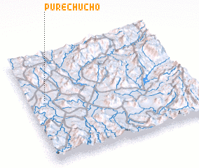 3d view of Purechucho