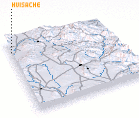 3d view of Huisache
