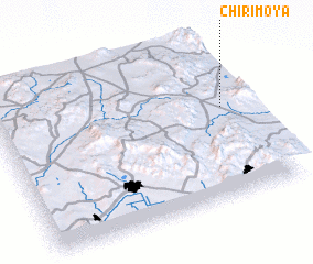 3d view of Chirimoya