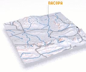 3d view of Nacopa