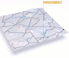 3d view of Pino Suárez