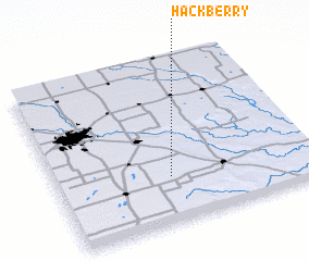 3d view of Hackberry